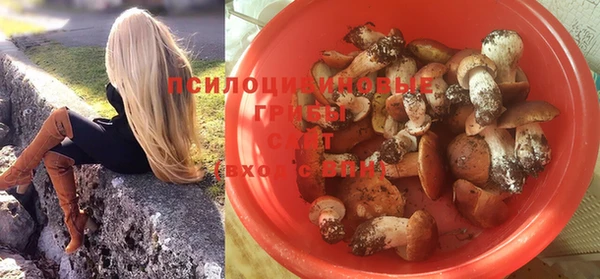 apvp Мегион