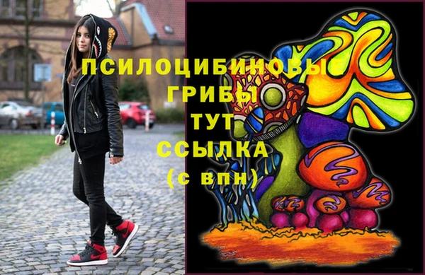 apvp Мегион
