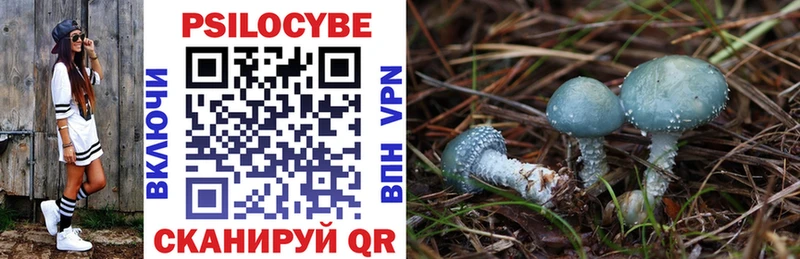 Купить закладки  Омск  Псилоцибиновые грибы Psilocybine cubensis 