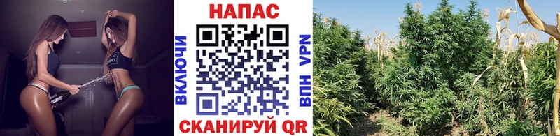 Марихуана LSD WEED  Купить закладки  Омск 